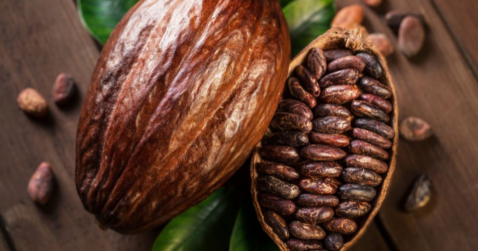 Cocoa pods and cocoa beans