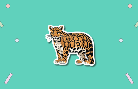 International Clouded Leopard Day