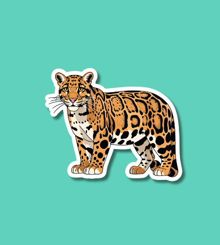 International Clouded Leopard Day