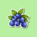 National Blueberry Day