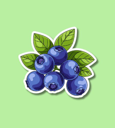 National Blueberry Day