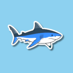 Shark Awareness Day