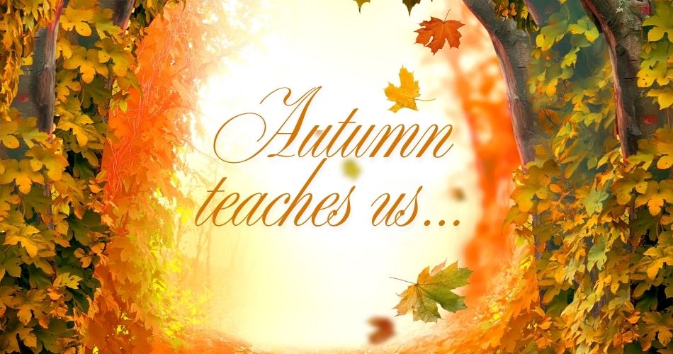 Autumn teaches us… 4