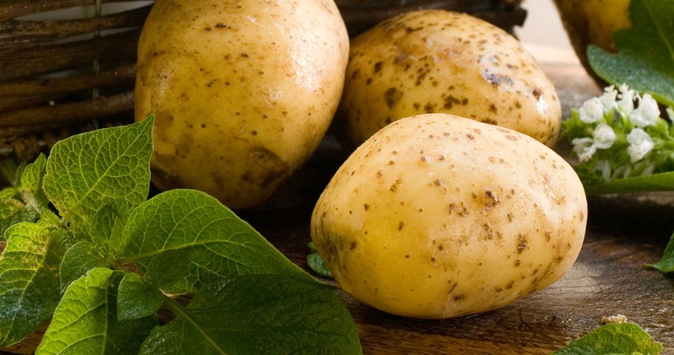 Interesting facts about potatoes