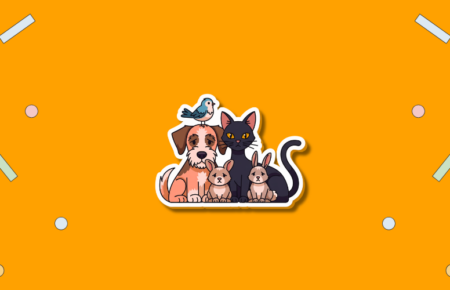 International Homeless Animals Day