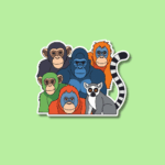 International Primate Day