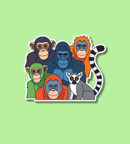 International Primate Day