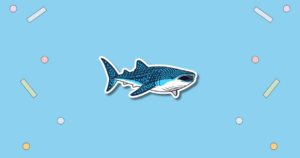 International Whale Shark Day