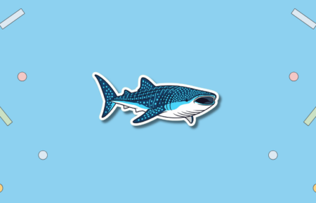 International Whale Shark Day