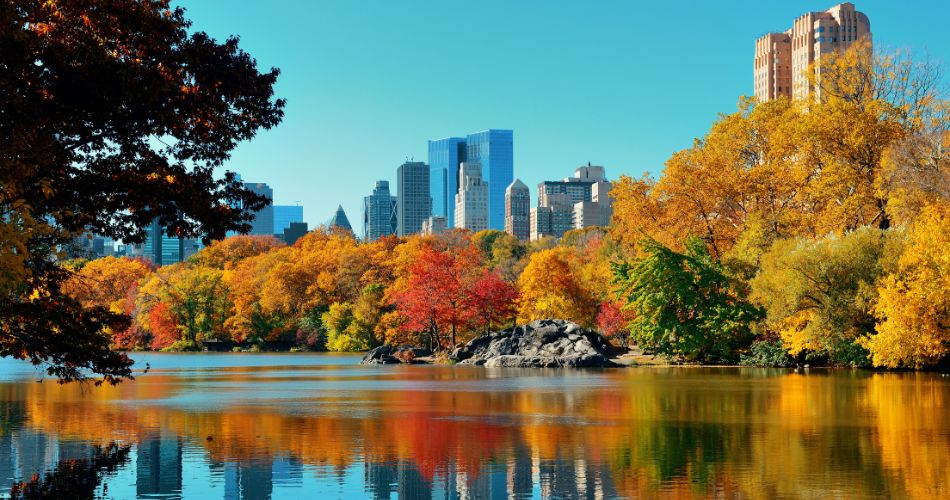 Fall Activities in NYC