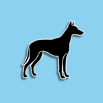 National Black Dog Day