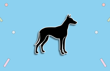 National Black Dog Day