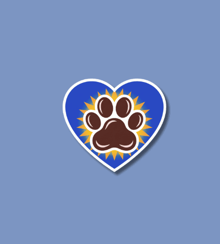 National Pet Memorial Day