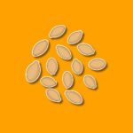 National Pumpkin Seed Day