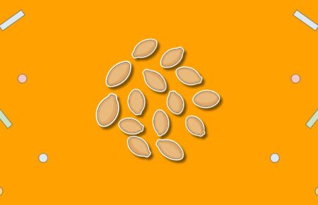 National Pumpkin Seed Day