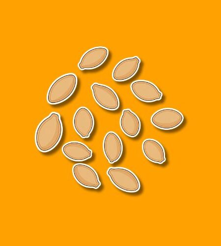 National Pumpkin Seed Day