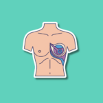 National BRA Day