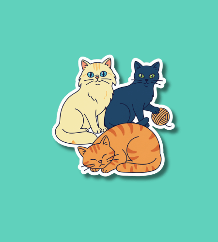 Global Cat Day