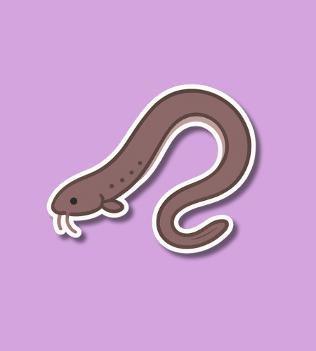 Hagfish Day