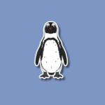 International African Penguin Awareness Day