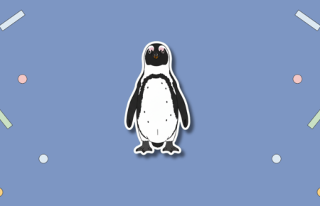 International African Penguin Awareness Day