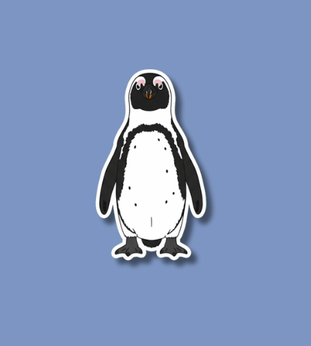 International African Penguin Awareness Day