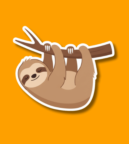 International Sloth Day
