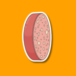 National Bologna Day