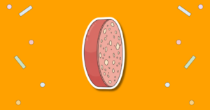 National Bologna Day