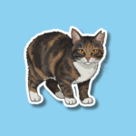 National Feral Cat Day