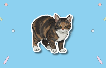 National Feral Cat Day
