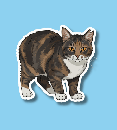 National Feral Cat Day