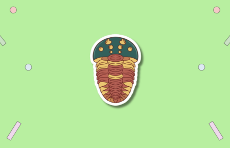 National Fossil Day