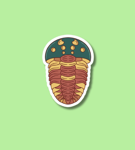 National Fossil Day