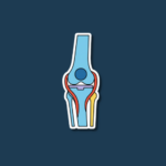 National Knee Day