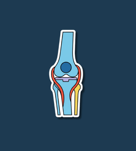 National Knee Day