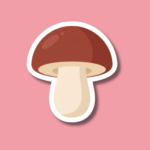 National Mushroom Day