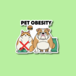 National Pet Obesity Day