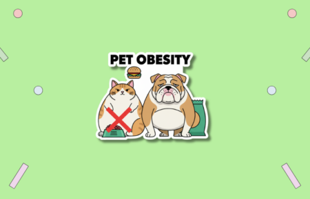 National Pet Obesity Day