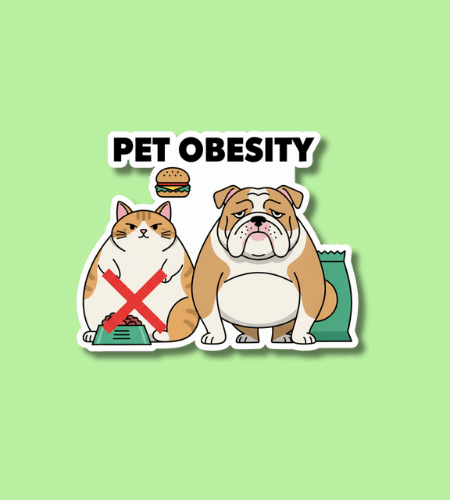 National Pet Obesity Day