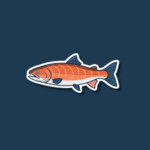 National Salmon Day