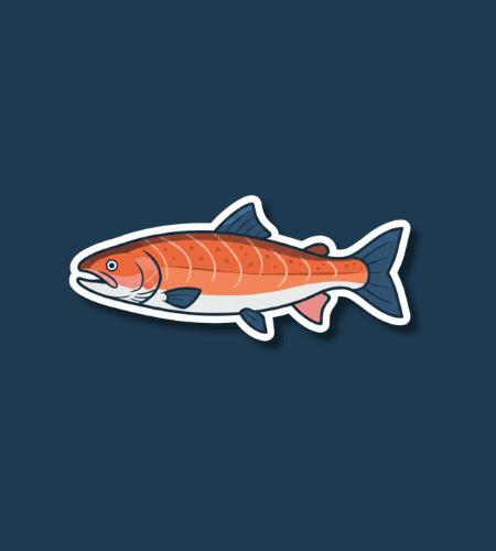 National Salmon Day