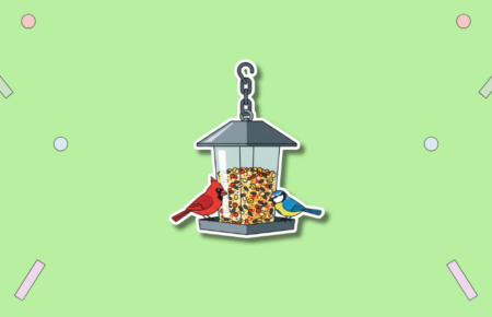 RSPB Feed the Birds Day