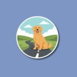 World Animal Road Accident Awareness Day