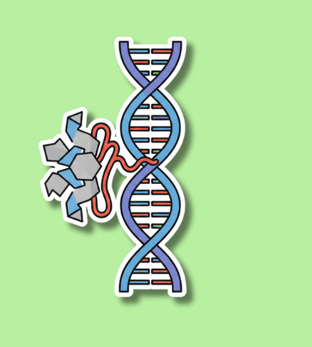 World CRISPR Day