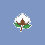World Cotton Day