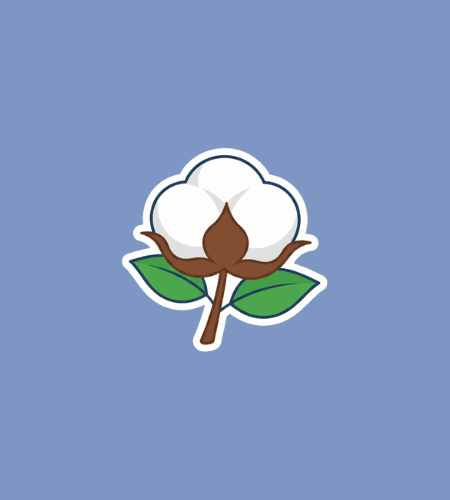 World Cotton Day