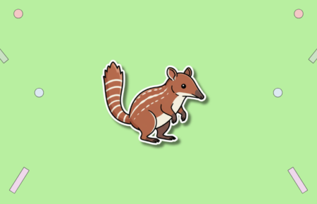 World Numbat Day