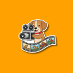 Dog Film Festival