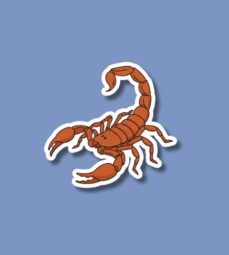 Married to a Scorpio Support Day